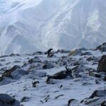 Bandipora-Gurez road closed after fresh snowfall at Razdan Top