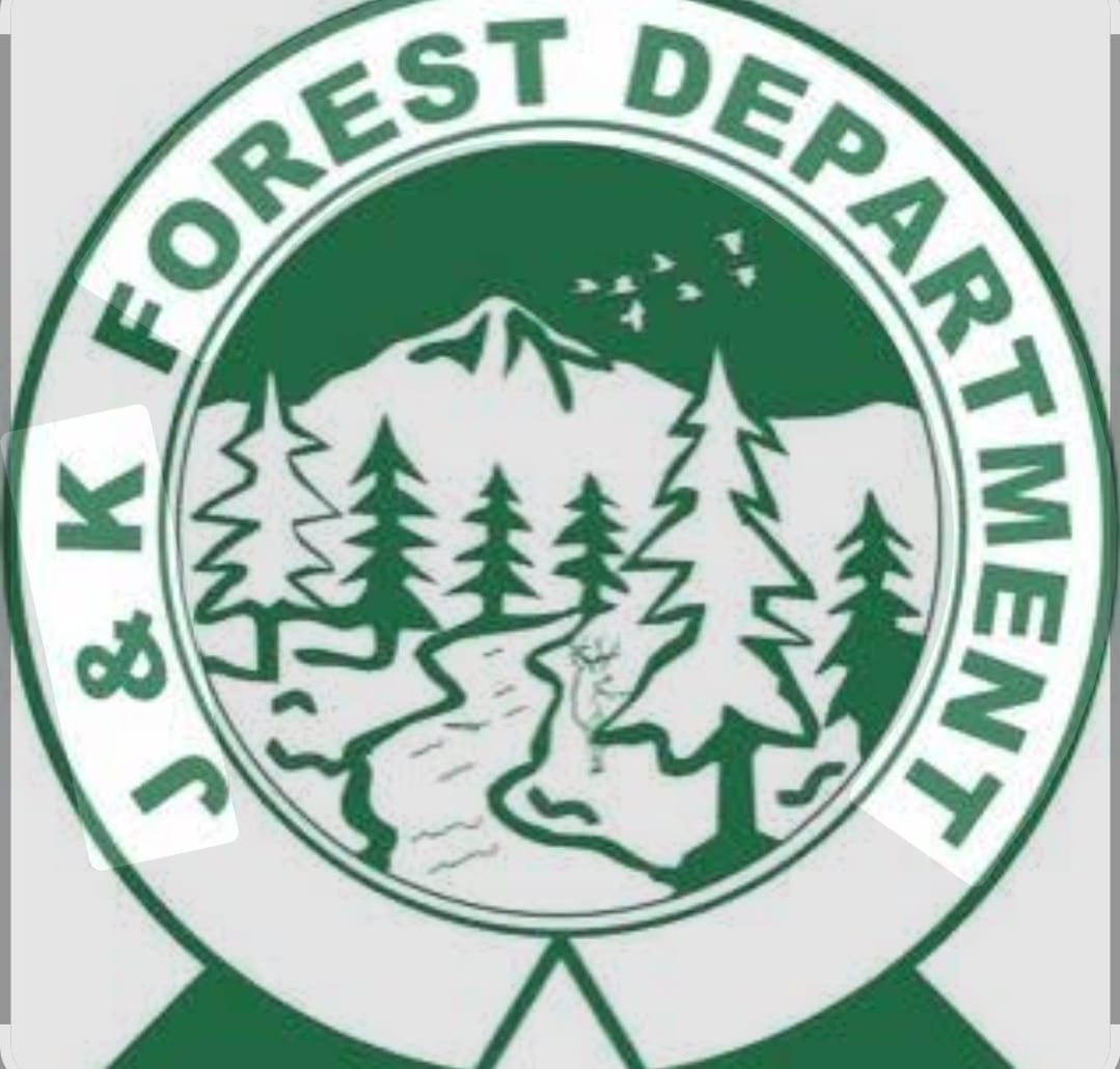 Forest Guard’s Death in Doda Ignites Anger: Frontline Workers Demand Safety, Risk Allowance, and Reforms Forest Guard’s Death in Doda Ignites Anger: Frontline Workers Demand Safety, Risk Allowance, and Reforms