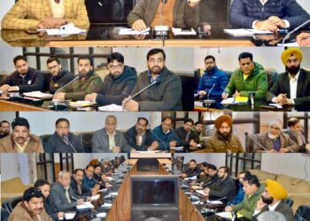 DC Poonch reviews Youth Empowerment and Employment Plan