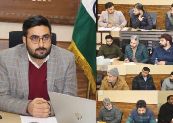 DC Srinagar reviews progress on digitization & modernization of land records in the district