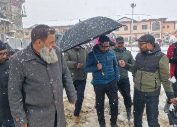 DC Kupwara Reviews Healthcare Services and Snow Clearance Operations Amid Snowfall