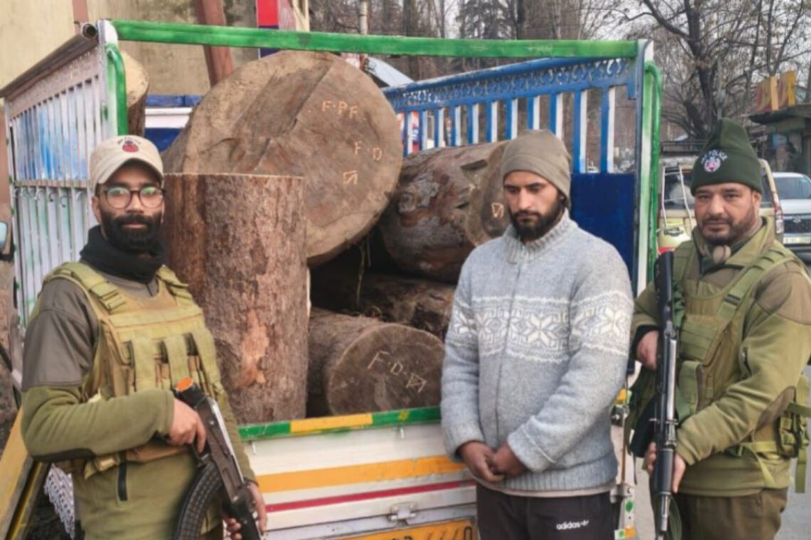 J&K POLICE AT GANDERBAL SEIZES ILLICIT TIMBER ALONG WITH VEHICLE; SMUGGLER ARRESTED