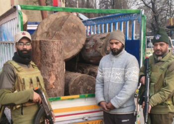J&K POLICE AT GANDERBAL SEIZES ILLICIT TIMBER ALONG WITH VEHICLE; SMUGGLER ARRESTED