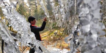 Ladakh coldest as mercury dips below minus 11, Kashmir follows, Jammu largely above freezing