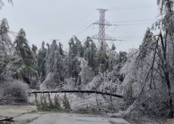 KPDCL restores Power Supply across Kashmir after Severe Weather Spell