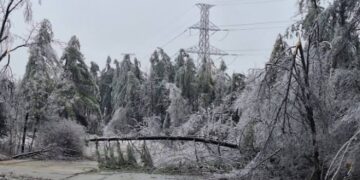 Fresh Snowfall in Parts of J&K; Weather to Remain Dry for Next 48 Hours