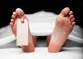 Driver Found Dead Near Palhallan in Baramulla