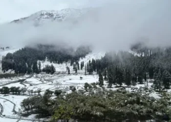 Intense Snowstorm Hits Kashmir; Several Areas Record Up to Five Feet of Snow Within Just 15 Hours