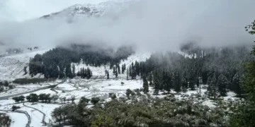 Intense Snowstorm Hits Kashmir; Several Areas Record Up to Five Feet of Snow Within Just 15 Hours Intense Snowstorm Hits Kashmir; Several Areas Record Up to Five Feet of Snow Within Just 15 Hours