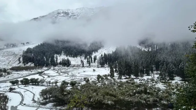 Intense Snowstorm Hits Kashmir; Several Areas Record Up to Five Feet of Snow Within Just 15 Hours Intense Snowstorm Hits Kashmir; Several Areas Record Up to Five Feet of Snow Within Just 15 Hours