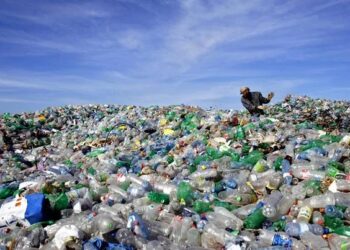 Health impacts due to plastics worldwide may double by 2040: Lancet study