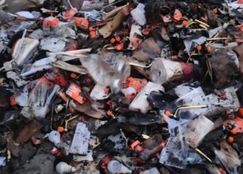 Firecrackers Trigger Shop Blaze in Srinagar, Goods Worth Lakhs Damaged