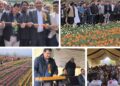 Javid Dar inaugurates Tulip Garden at MCRS Sagam, calls for Floriculture led rural transformation Javid Dar inaugurates Tulip Garden at MCRS Sagam, calls for Floriculture led rural transformation