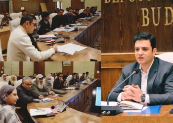 DC Budgam reviews developmental projects, public issues of sub-division Chadoora