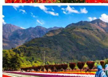 Directorate of Floriculture organize Therapeutic visit of patients to Tulip Garden