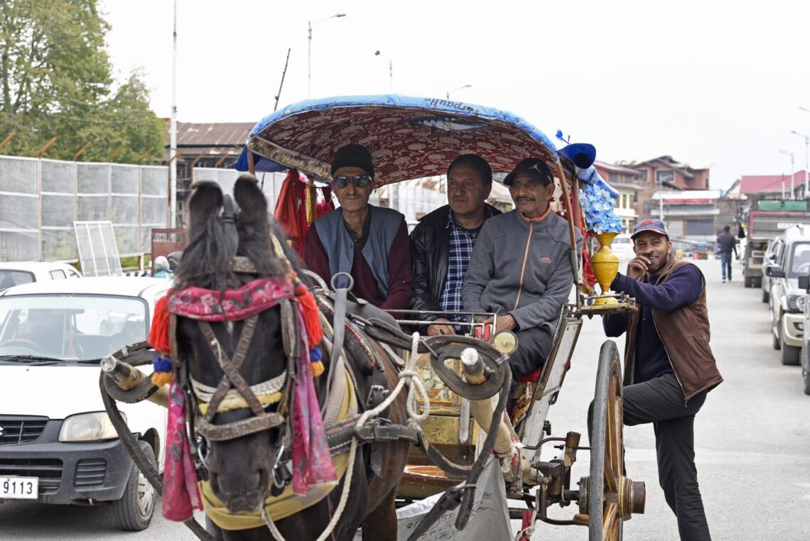 Tonga makes a comeback, reappears on Srinagar streets Tonga makes a comeback, reappears on Srinagar streets
