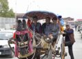 Tonga makes a comeback, reappears on Srinagar streets