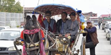 Tonga makes a comeback, reappears on Srinagar streets Tonga makes a comeback, reappears on Srinagar streets