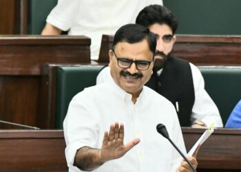 Multi-pronged strategy in place to mitigate porcupine threat to saffron fields: Javed Rana