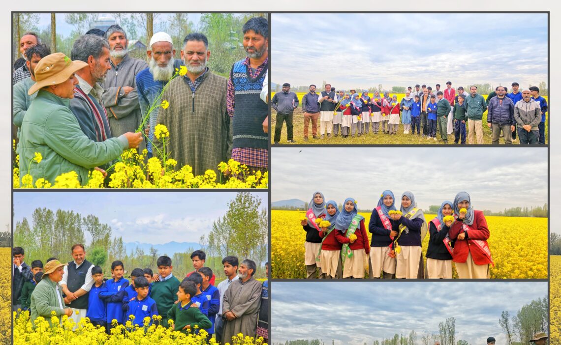 KVK Bandipora conducts Field Day on Oilseeds under CFLD
