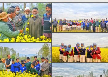 KVK Bandipora conducts Field Day on Oilseeds under CFLD