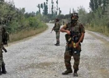Ganderbal Encounter: 1 Unidentified Terrorist Killed, Operation On: Army