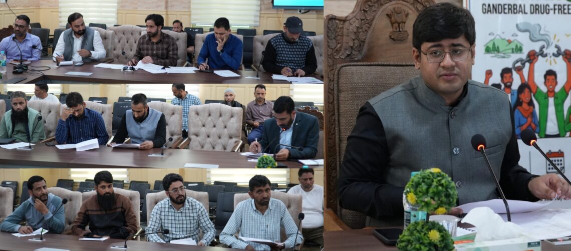DC Ganderbal reviews progress on Digitization of Revenue Records and updation of Backlog Mutations