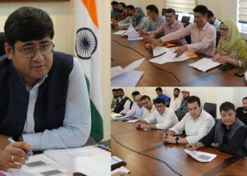 DC Ganderbal reviews implementation of HADP, JKCIP and flagship agriculture schemes