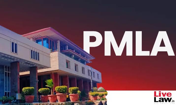 Delhi HC Says Participation in Protests Not a Ground to Deny Bail in PMLA Case Delhi HC Says Participation in Protests Not a Ground to Deny Bail in PMLA Case